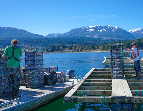 Two men moving oyster cages from boat to dock