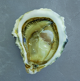 Our Shellfish | Fanny Bay Oysters, British Columbia